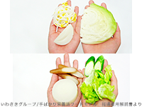 1日の野菜(淡色野菜)