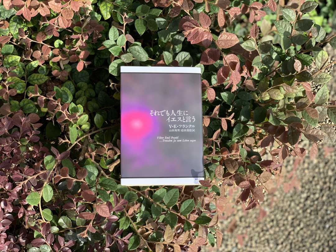 『それでも人生にイエスと言う』（V・E・フランクル著　山田邦男・松田美佳訳　春秋社）P74~77